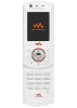sony_ericsson_w900i-2.jpeg